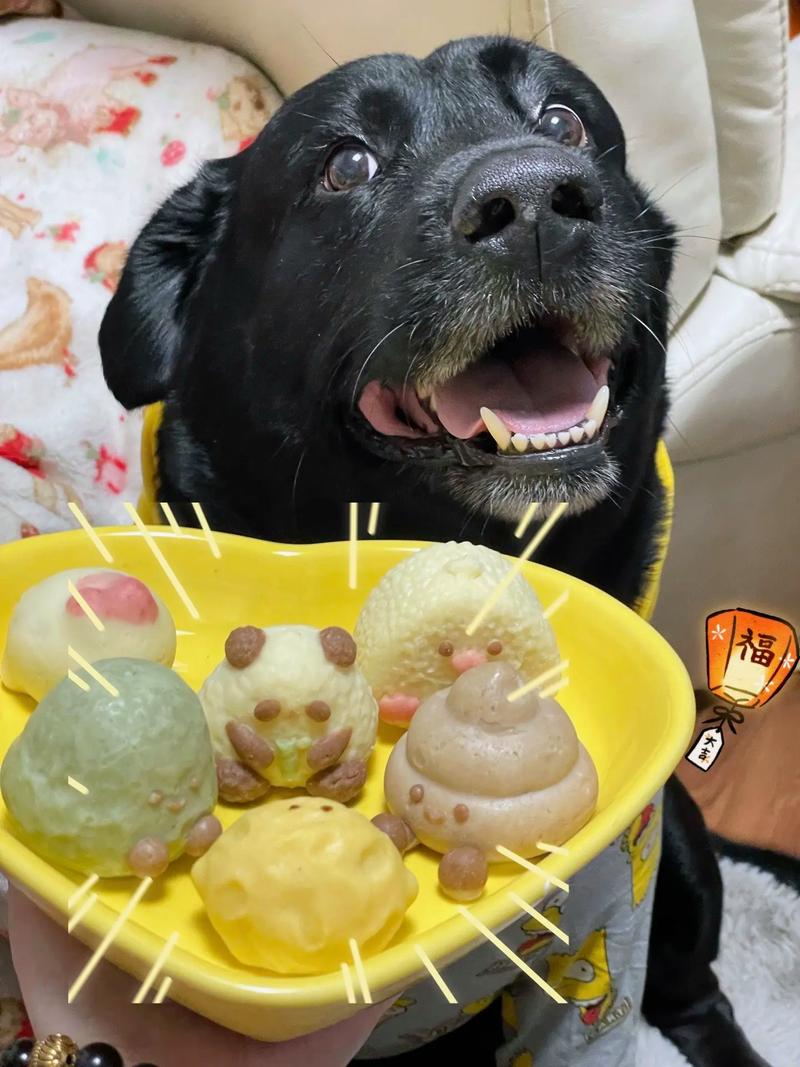 狗狗能吃芝麻汤圆吗?