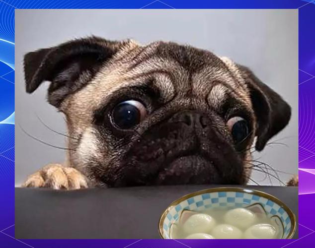 狗能吃芝麻汤圆吗?