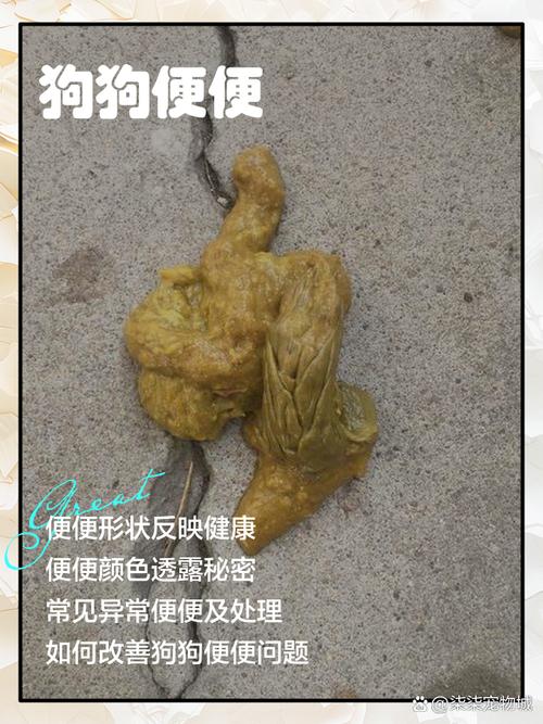 狗狗产后拉稀正常吗