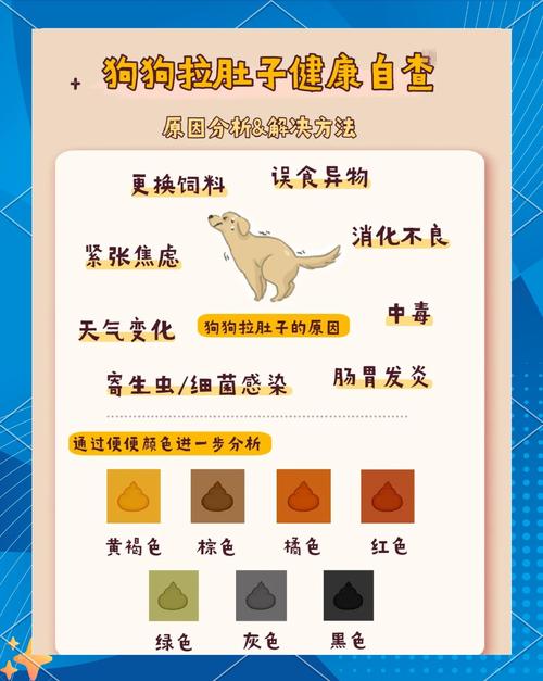 狗狗生完小狗拉稀是怎么回事(狗产后拉稀怎么回事)