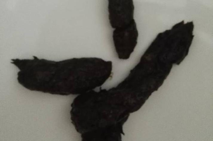 母狗产后一直拉稀正常吗?产后狗狗拉肚子怎么办?