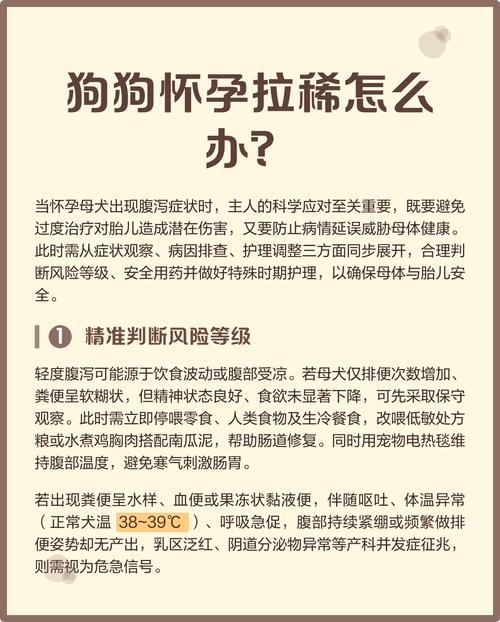 为什么狗狗生产后大便很稀