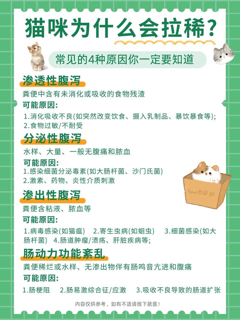 小猫咪拉稀不吃东西怎么办