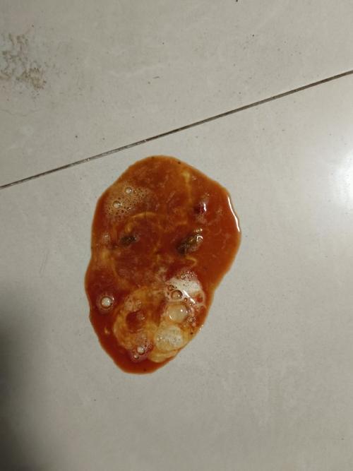 狗狗拉了一滩血水的原因