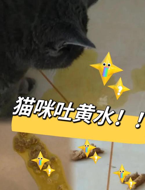 猫咪打完疫苗呕吐正常吗