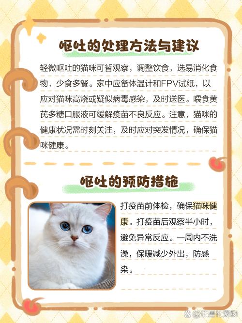 猫打完疫苗呕吐拉稀