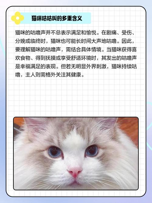 猫咪被打咕咕叫是为什么