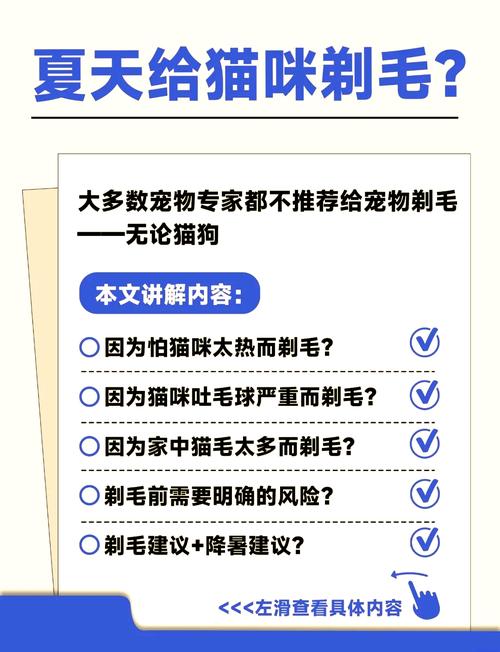 三个月大的小猫能剃毛吗