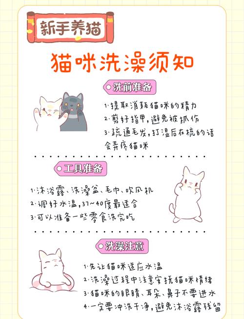 如何给小猫咪洗澡?