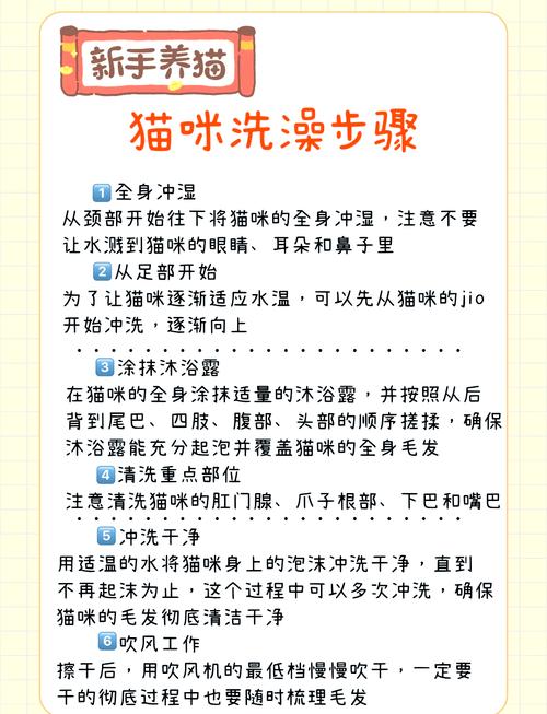 5分钟教会你,如何给猫咪洗澡~