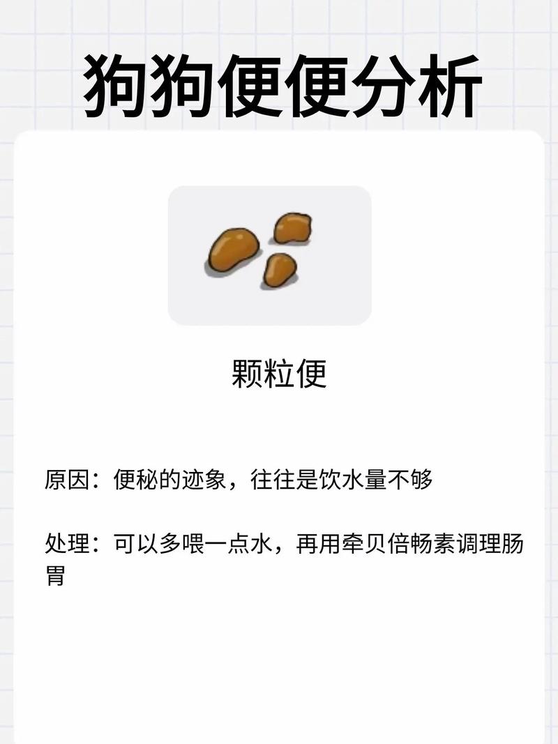 导致狗狗拉肚子原因有哪些