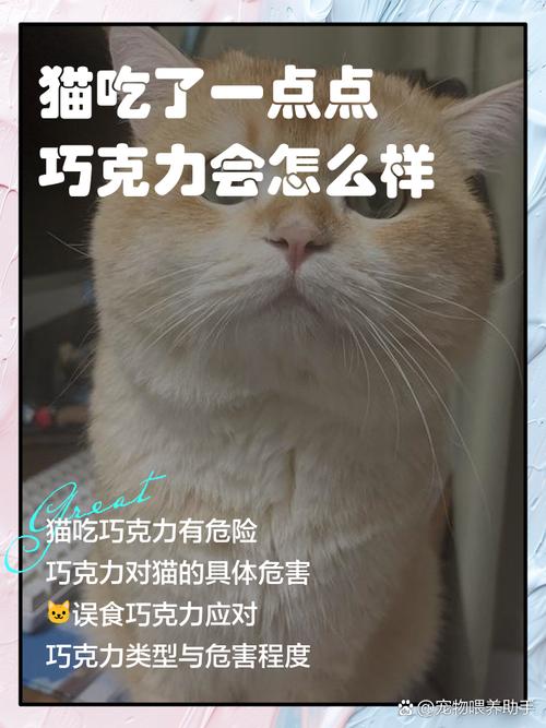 猫咪能吃的42种蔬果|附忌食自查