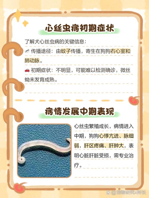 怎么确定狗狗有心丝虫