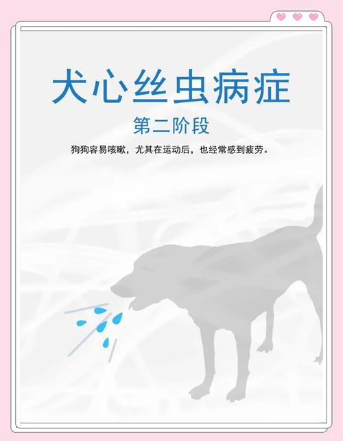 狗狗得犬心丝虫的表现