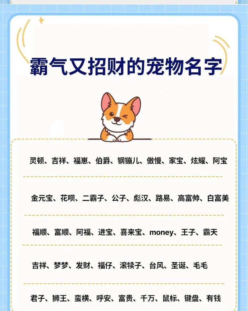 招财不俗气的狗狗名字