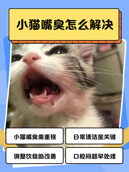 猫咪嘴巴很臭怎么办