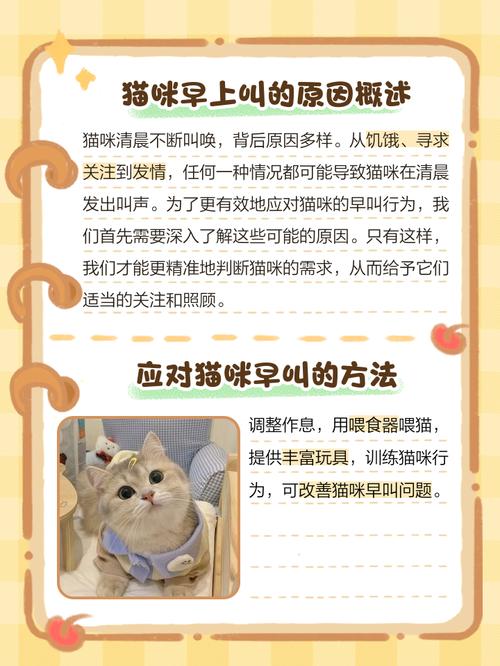 为什么猫咪在我们离开家或回家时总是叫个不停?