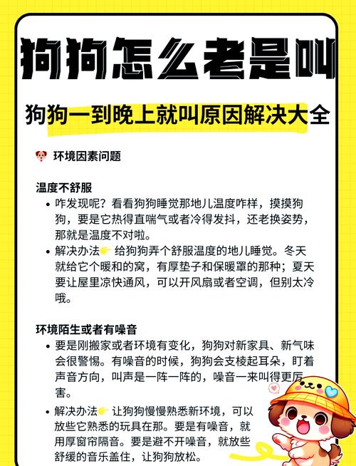 狗子刚到家晚上叫个不停,该怎么安抚?