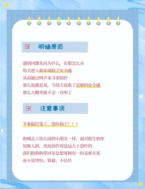 幼犬刚到家一直叫怎么办?新手训犬必看!