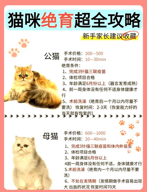 为什么要给猫咪绝育