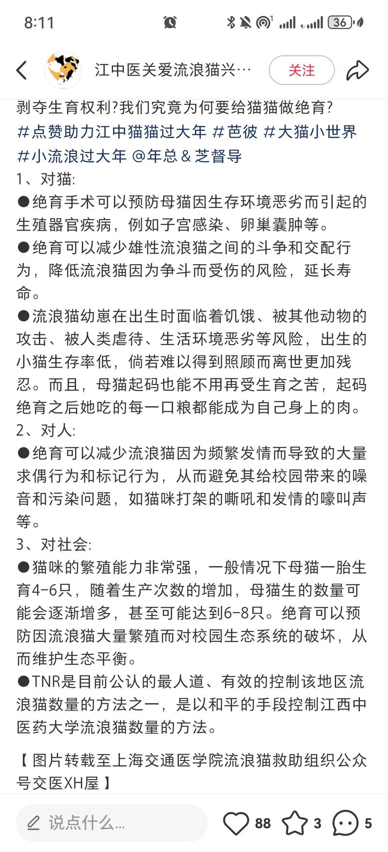 新手必备|猫咪绝育攻略养猫必看