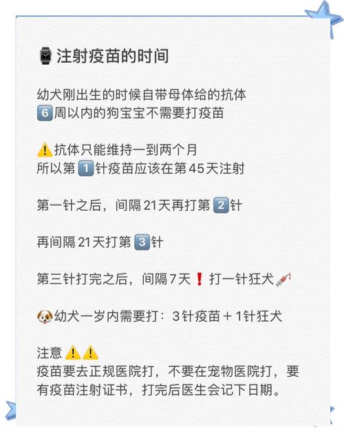 狗拉肚子能打预防针吗