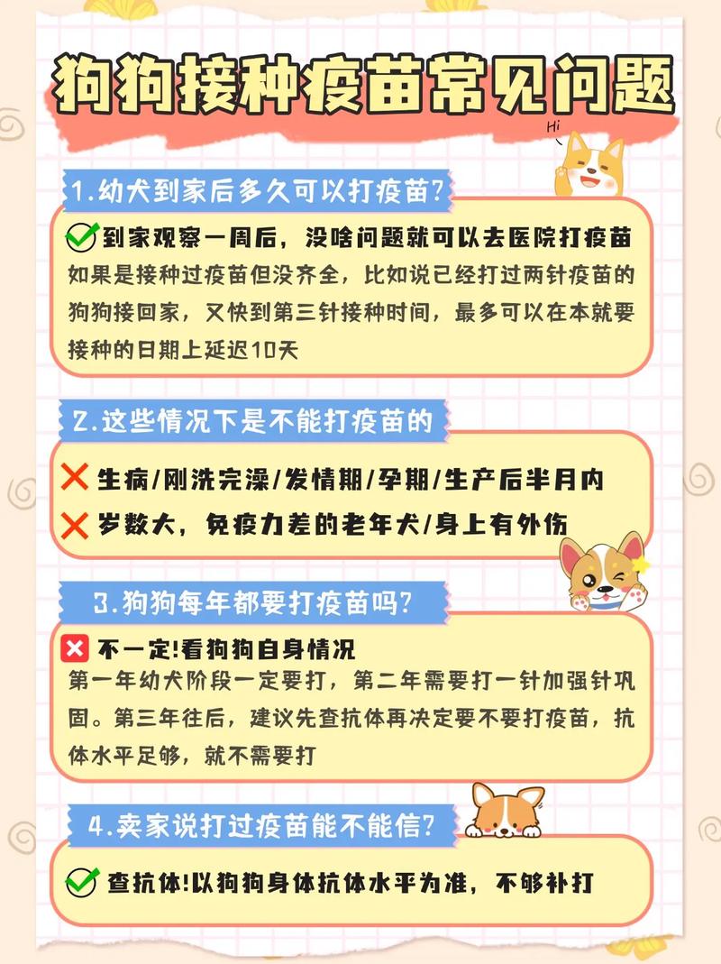 狗狗拉稀可以打疫苗吗?