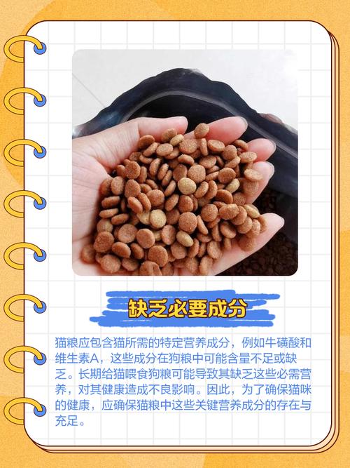 猫咪能不能吃狗粮