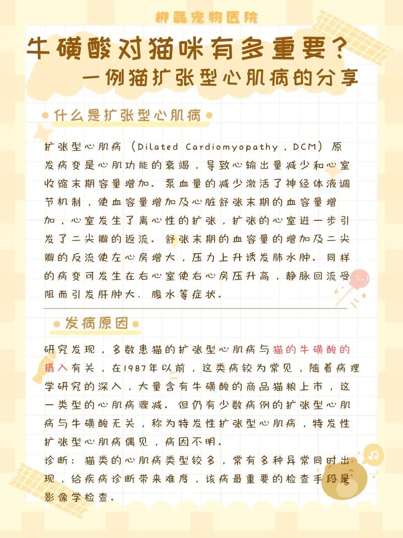 猫咪可以长期吃狗粮吗?