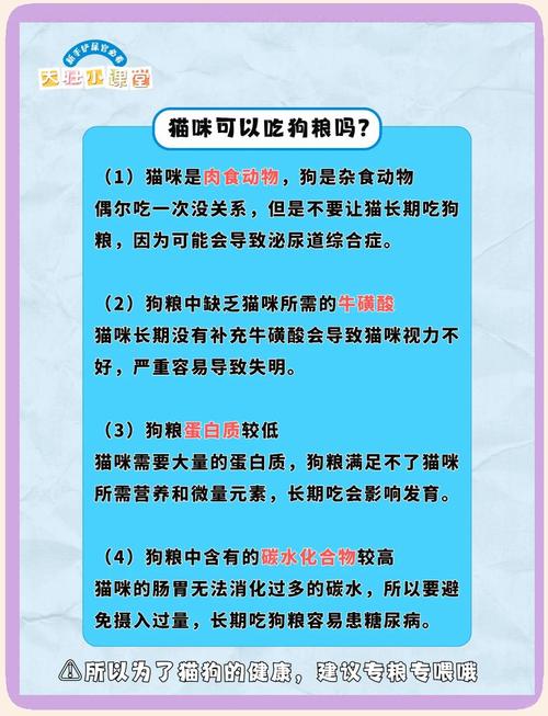 猫咪可以长期吃狗粮吗