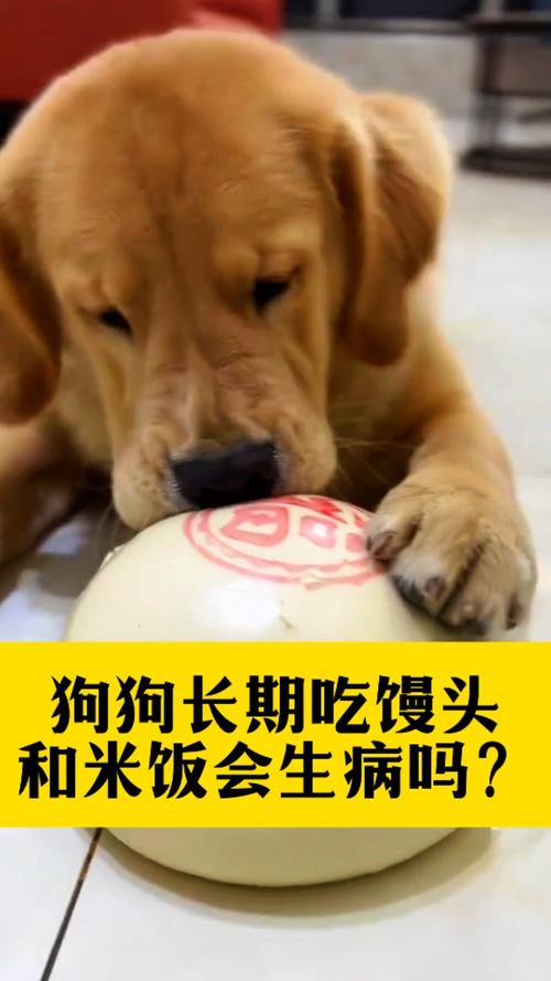 狗狗吃馒头有害吗为什么
