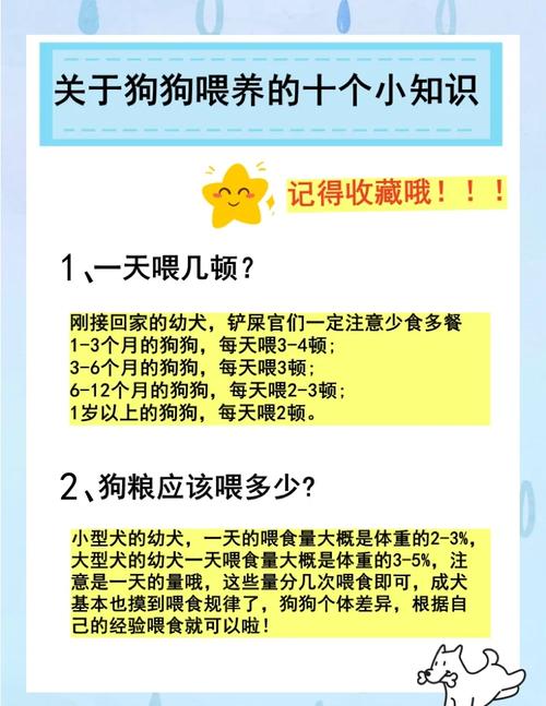 幼犬到家要注意新手铲屎官绝对要知道!_