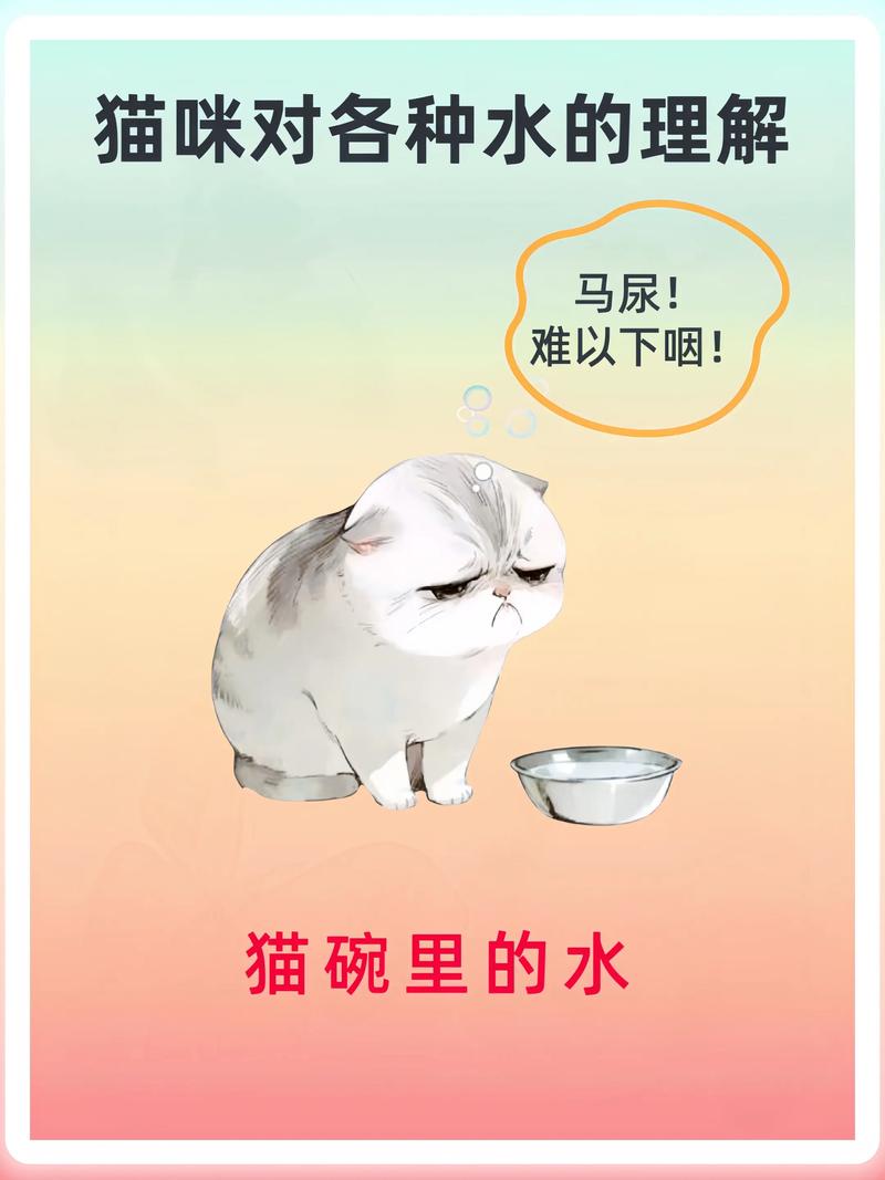 猫喜欢喝哪种类型的水?