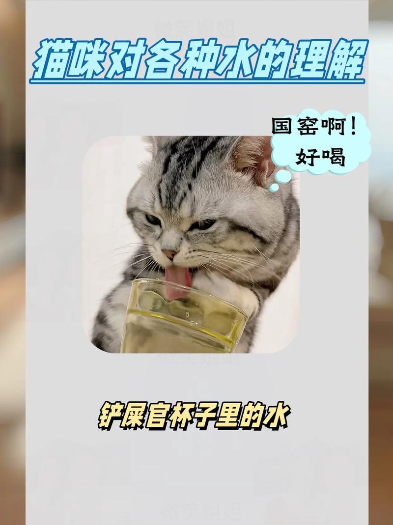 猫可以喝鱼缸的水吗?
