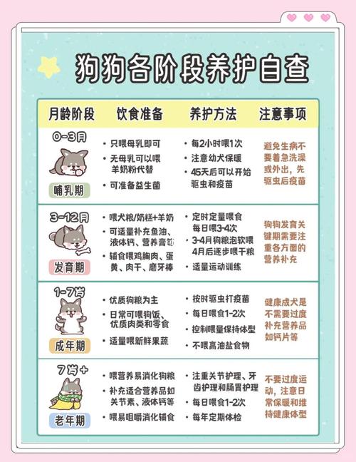 狗狗多久可以做绝育?