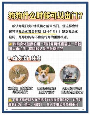 狗狗不打疫苗有什么影响?