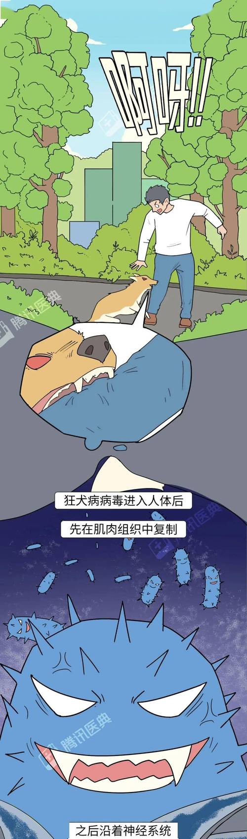 狗狗不打疫苗会怎么样