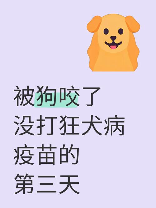 狗不打疫苗行不行