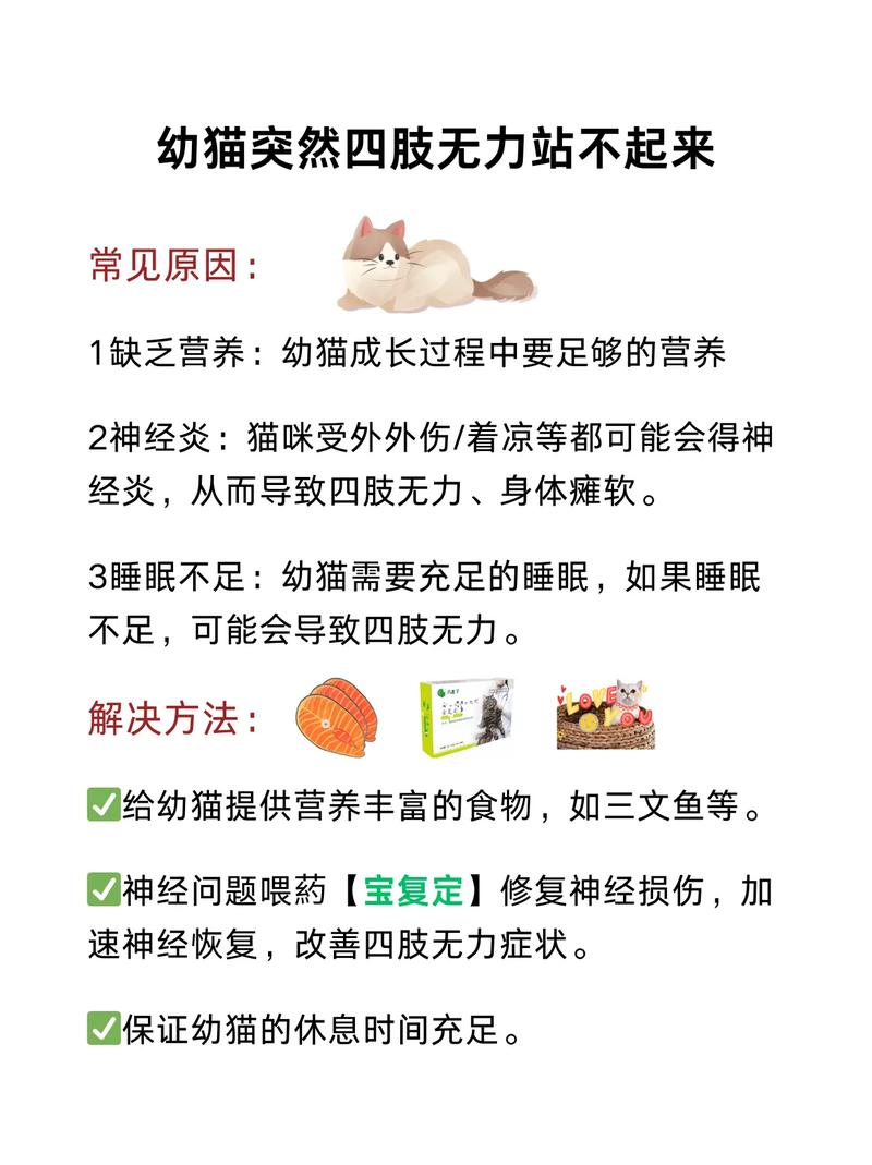 猫咪生病了,治疗要花2万块,你还愿意救他吗?