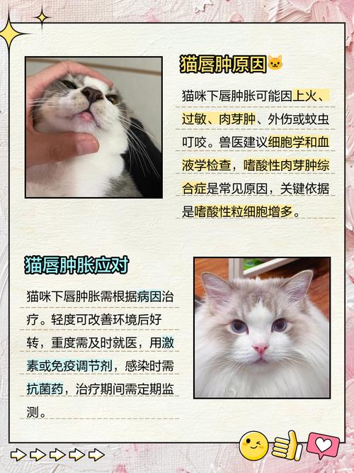 猫咪上嘴唇长肉芽肿几天能好