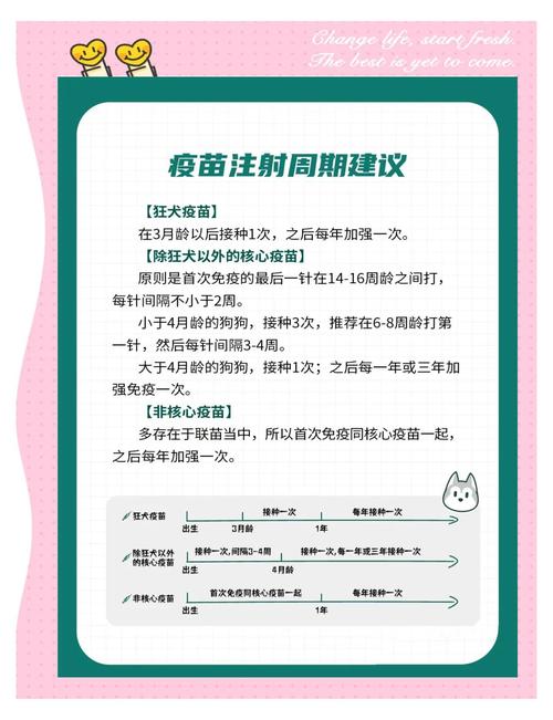 小狗不打针会怎么样?