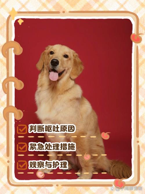 狗狗被骨头卡住了怎么办