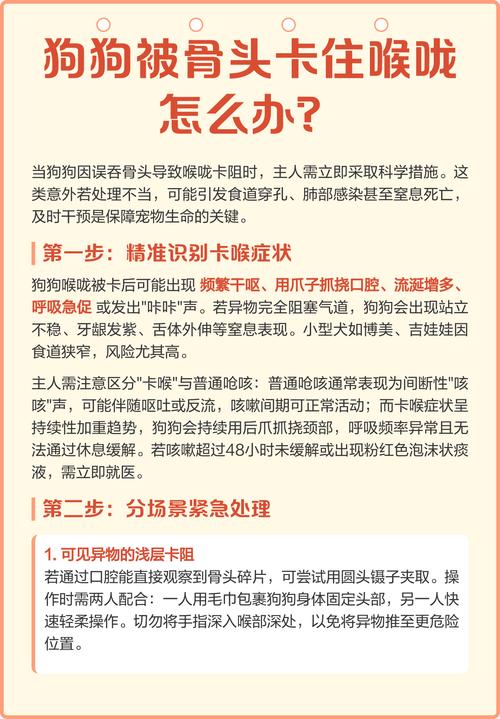 狗狗骨头卡在肠道里怎么办