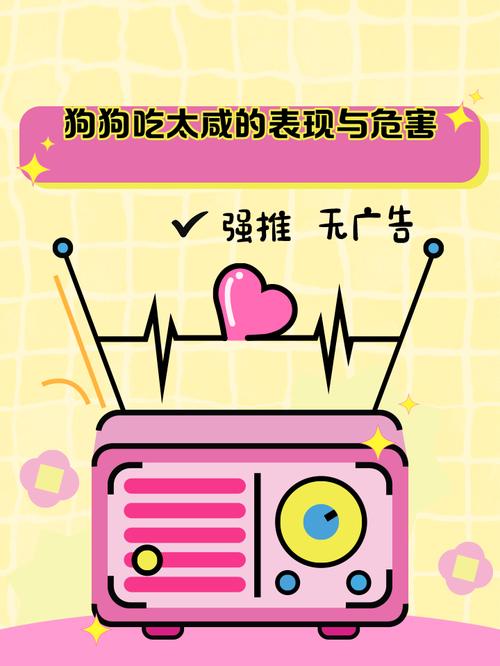 狗狗吃咸了怎么补救