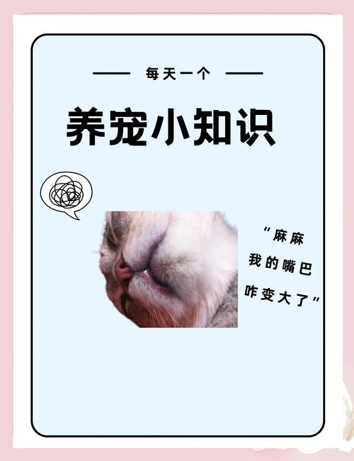 猫咪上火下嘴唇肿了怎么办