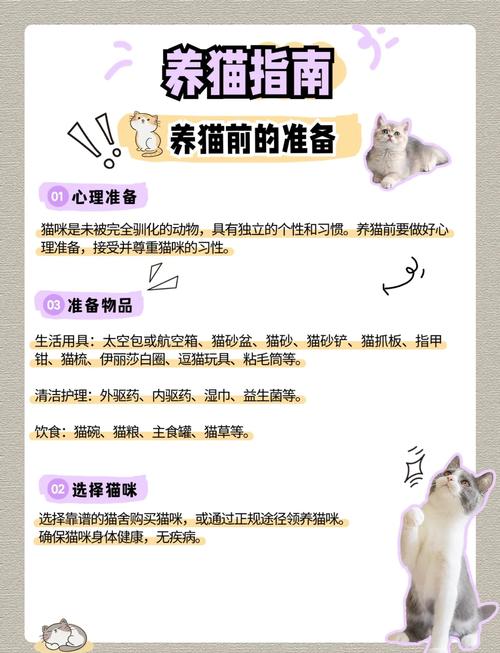 养猫小指南