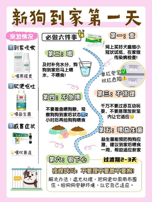 狗狗第一天到家,我们要做的?