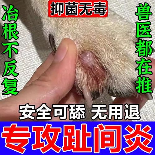 狗狗脚趾炎的初期症状