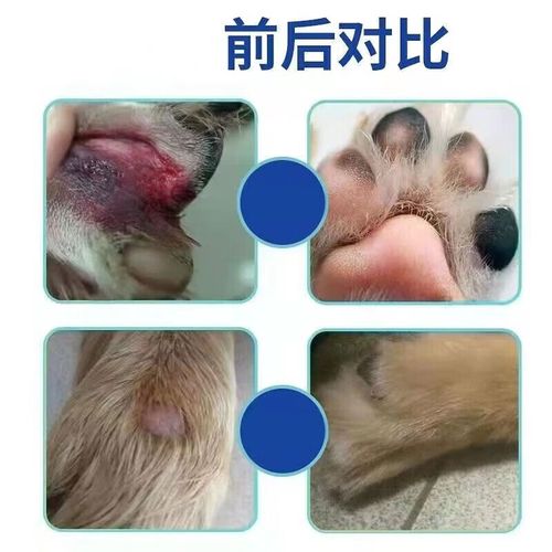 狗狗脚趾炎用碘伏好使吗