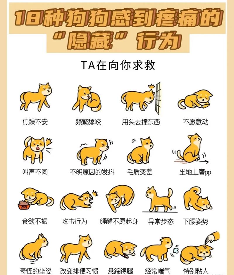 狗狗肚子疼的表现有哪些